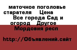 маточное поголовье старателя  › Цена ­ 3 700 - Все города Сад и огород » Другое   . Мордовия респ.